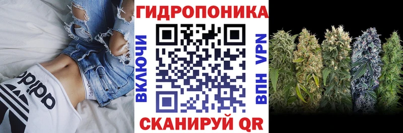 Сколько стоит Кашира Метадон  Канабис  КОКАИН  APVP  MEGA ссылка  Меф  ГАШ  Галлюциногенные грибы 