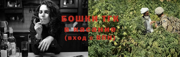 гидропоника Богданович