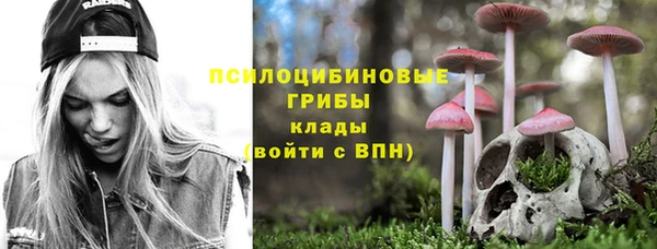 гашик Богородицк