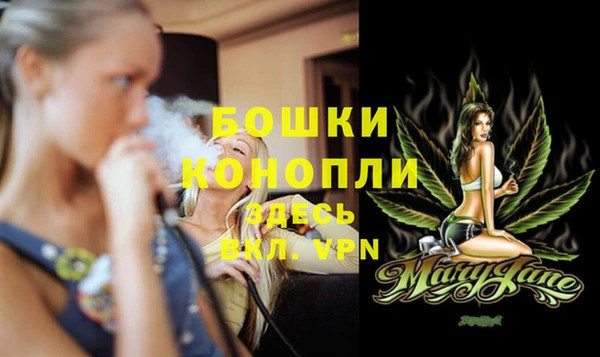 гашик Богородицк