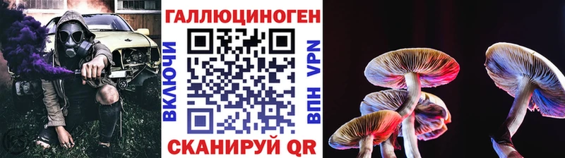 кракен   Кашира  Галлюциногенные грибы прущие грибы 
